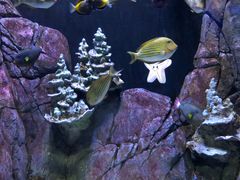 -成都浩海立方海洋公园