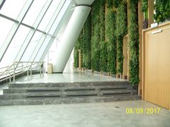 -WFC会仙楼观景台