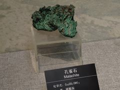 -甘肃地质博物馆