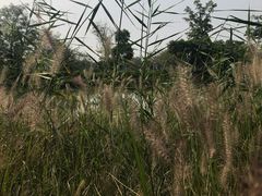 -苏州吴中太湖旅游区