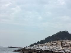 -大澳渔村及棚屋