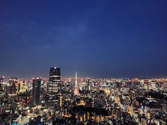 -六本木新城展望台(东京城市景观)