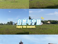 -长兴太湖图影湿地文化园