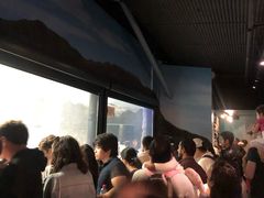 -悉尼海洋生物水族馆