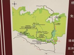 -海南热带雨林国家公园吊罗山景区