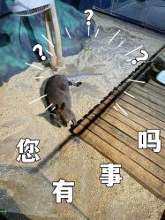 -未来动物城动物主题公园(大悦城店)