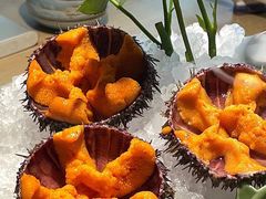 -胆道·海鲜之王(海信店)