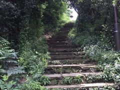 -杭州半山国家森林公园