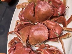 -琼菜王(南海店)