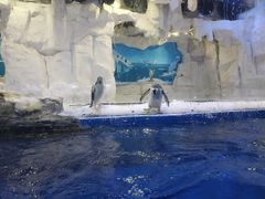 -华夏文旅海洋公园