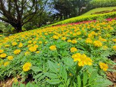 -广州市白云山风景名胜区