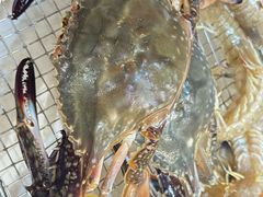-海味当家·蒸锅海鲜(星海公园店)