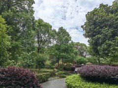 -敬亭山风景名胜区