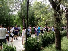 -泰安地下龙宫景区