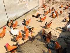 -宁波五龙潭景区