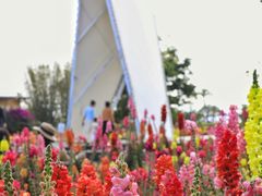 -抚仙湖万达文华酒店