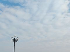 -野狸岛