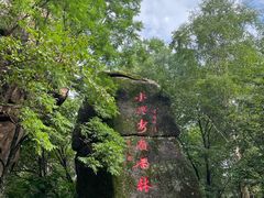 -汤旺河林海奇石景区