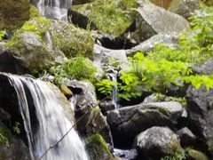 -藏龙百瀑风景区