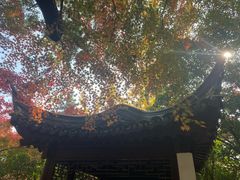 -秋霞圃
