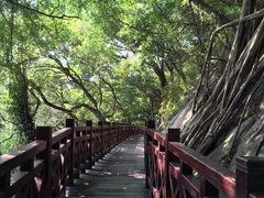 -乌山风景区
