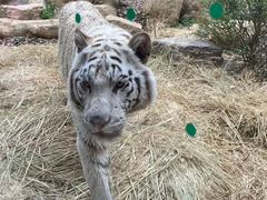-南京金牛湖风景区