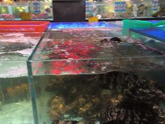 -阿伟海鲜楼·福建菜(延寿店)