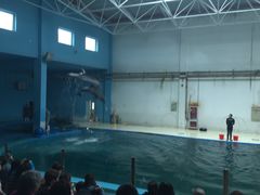 -北戴河圣蓝海洋公园