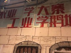 -鹅城