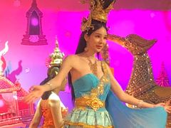 -金东尼人妖秀