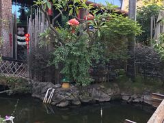-花溪雨·森林餐厅(石基店)