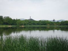 -北坞公园