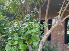 -悦隆庄温泉度假酒店