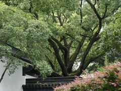 -上海醉白池公园