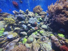 -珠海长隆海洋王国