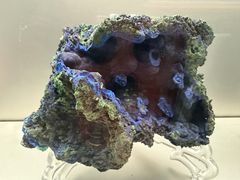 -甘肃地质博物馆