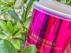 -EIS ENGELCHEN艾斯辛尔
