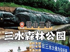 -三水森林公园