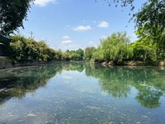 -贵阳市花溪国家城市湿地公园