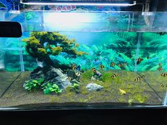 -梦幻海洋王国(吾悦广场张家港店)