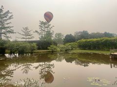 -中国科学院西双版纳热带植物园