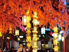 -钱塘秋荷(开鲁路店)