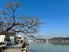 -东钱湖旅游度假区