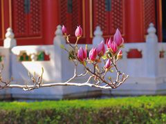 -故宫博物院(故宫)