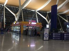 -上海浦东国际机场-T2航站楼