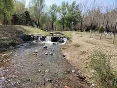 -长白岛森林公园