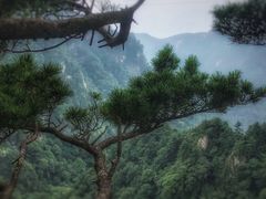 -洛阳白云山景区