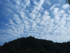 -洛阳白云山景区