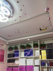 -香薇妮丝·定制减肥·身材管理