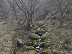 -抱龙峪